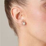 Ego earrings, pearl, silver