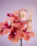 Radiance In Bloom Diffuser