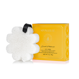Daisy Collection - Boxed Flower Bath Wash, 3.0oz
