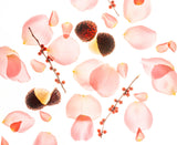Rosewater Glow Mist Revitalizing Hand Sanitizer