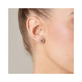 B12 earrings, silver