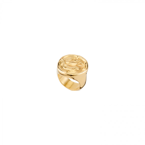 Navy ring, gold