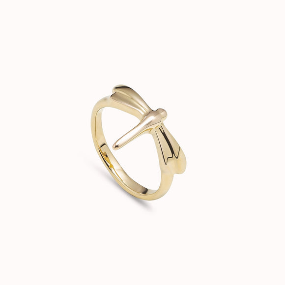 Fortune ring, gold