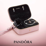 Fun in Love Jewelry Box (panpkbx19)